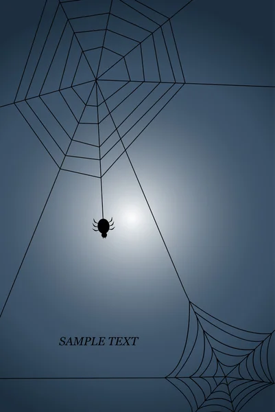 Spiders web — Stock Vector