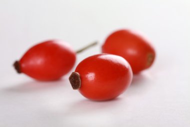 Rose HIPS