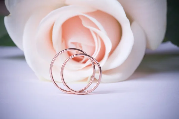 Dois Anéis Casamento Ouro Rosa Creme — Fotografia de Stock
