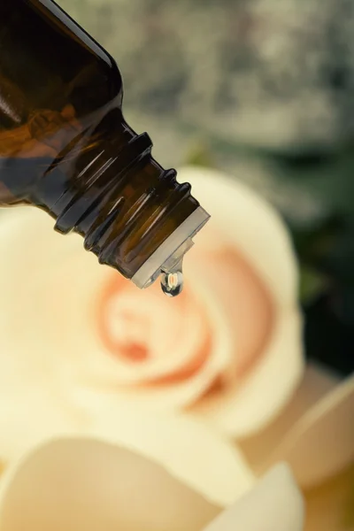 Óleo essencial para aromaterapia — Fotografia de Stock