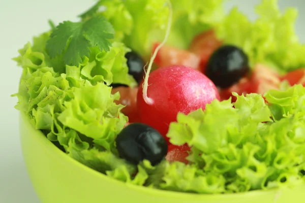 Salada de legumes com rabanete vermelho — Fotografia de Stock