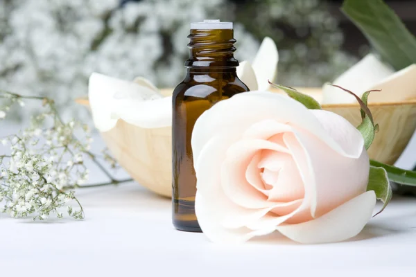Oleju Aromaterapii Kwiat Róży — Zdjęcie stockowe