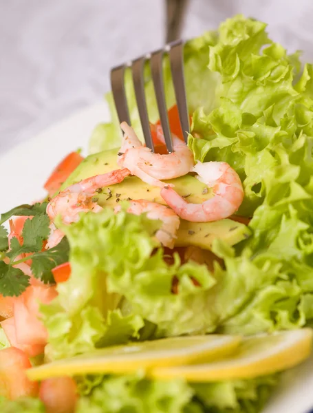 Salade aux crevettes et avocat — Photo