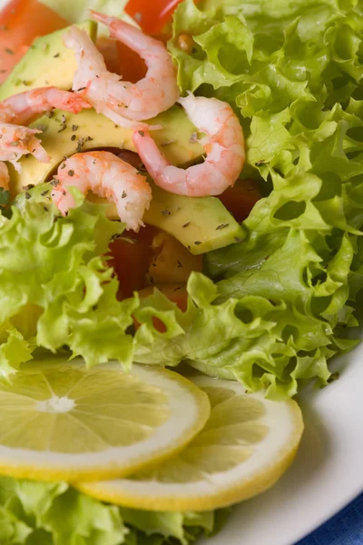 Salată cu creveți și avocado — Fotografie, imagine de stoc