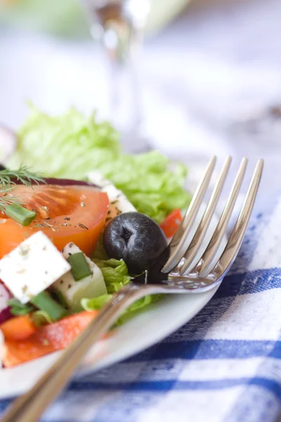 Närbild av grekisk sallad — Stockfoto