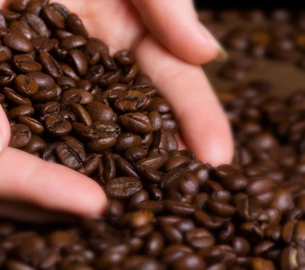 Koffie bonen in menselijke hand — Stockfoto