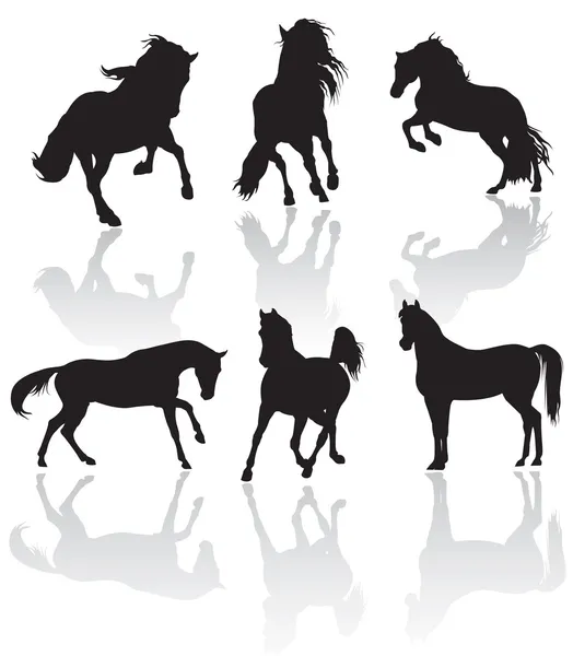 Silhuetas de cavalos — Fotografia de Stock