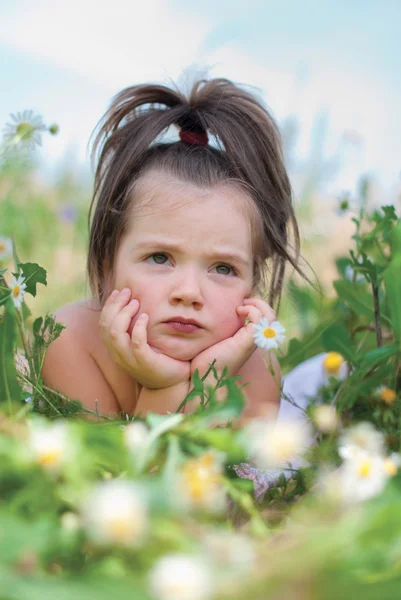 Aranyos Gyermek Lány Camomiles Területén — Stock Fotó