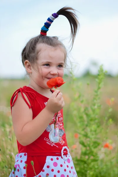 罂粟地里可爱的小女孩 — 图库照片