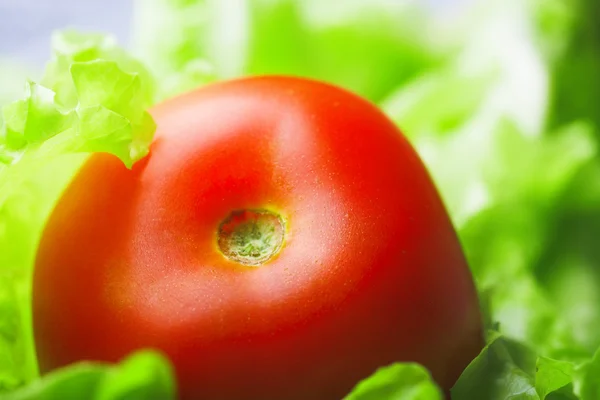 Domates ve salata — Stok fotoğraf