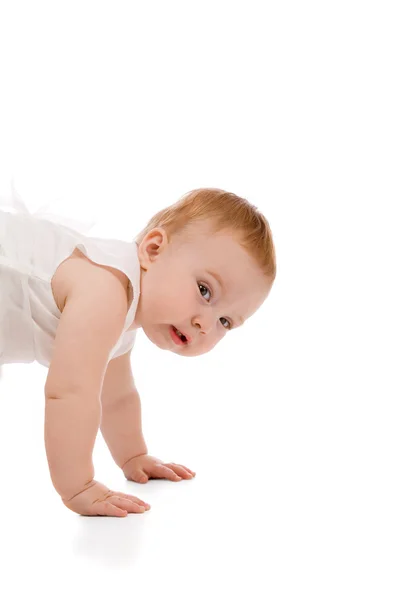 Jovem Beleza Bebê Isolado Fundo Branco — Fotografia de Stock