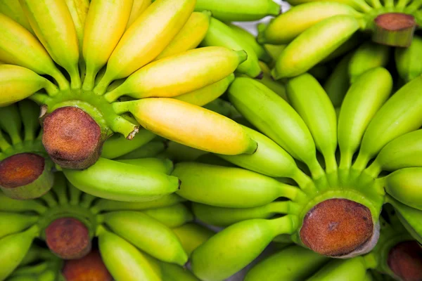 Banány Stock Fotografie