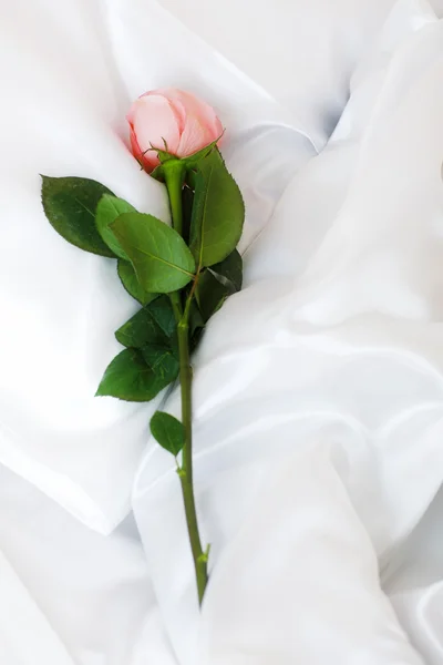 白缎上的粉红色玫瑰特写 — 图库照片