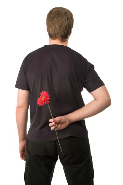 Homem Segurando Flor Vermelha Atrás Suas Costas — Fotografia de Stock