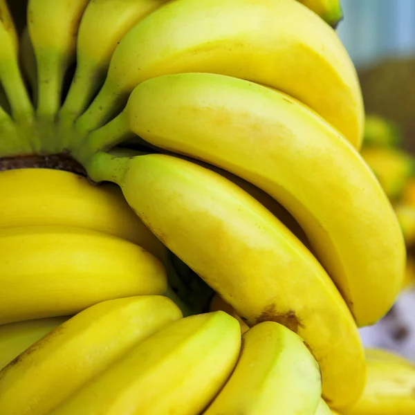 Banan frukter — Stockfoto