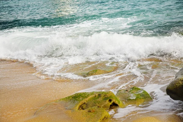 A strand hullám — Stock Fotó