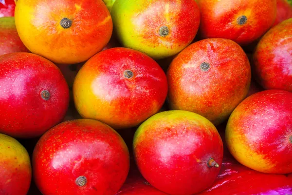 Frutas de mango Fotos de stock