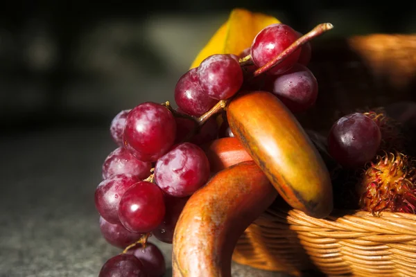 열 대 과일 — 스톡 사진