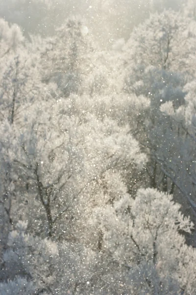 Белый зимний фон — стоковое фото