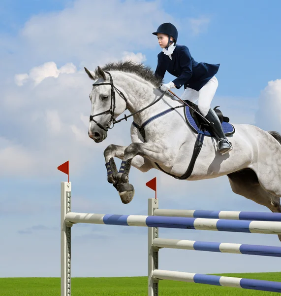 Equestrian jumper — Stock Photo, Image