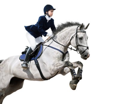 Equestrian jumper clipart