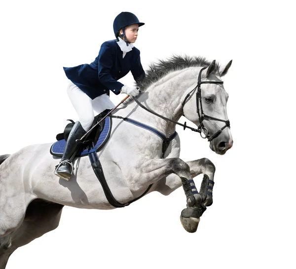 Equestrian jumper — Stock Photo, Image