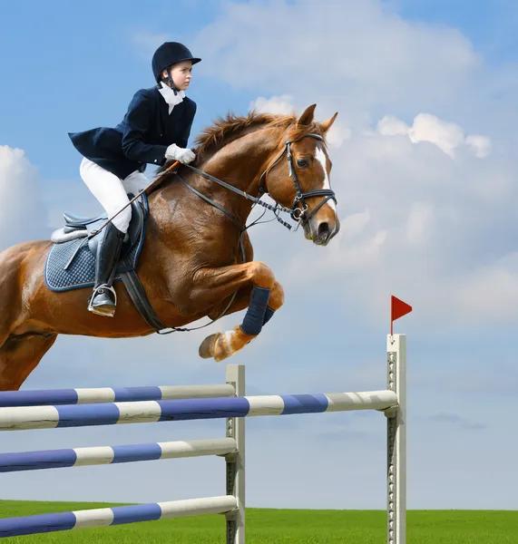 Saltador equestre — Fotografia de Stock