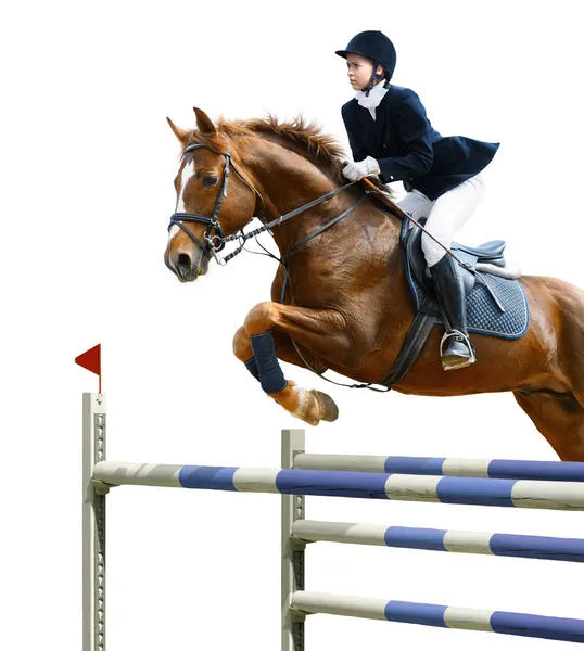 Saltador equestre — Fotografia de Stock