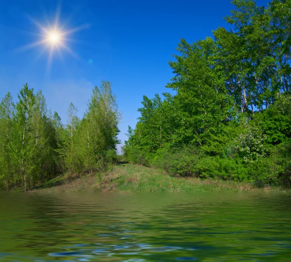 Lake in the warm summer weather — Stock Photo, Image
