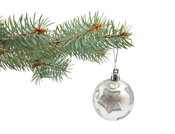 Spruce twig with a Christmas toy — Stock Photo, Image