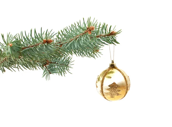 Spruce twig with a Christmas toy — Stock Photo, Image