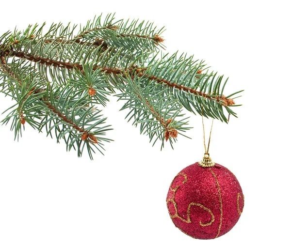크리스마스 장난감 가문비나무 나뭇가지 — 스톡 사진