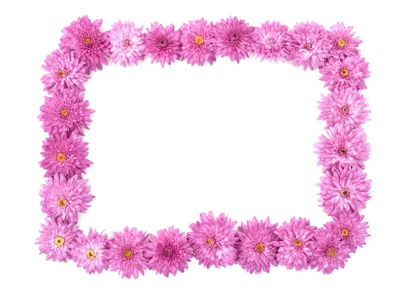 Rahmen aus Chrysanthemenblüten — Stockfoto