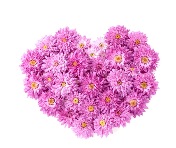 Srdce z květů chryzantémy — Stock fotografie