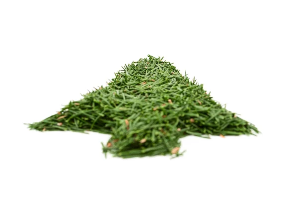 Albero verde degli aghi - freccia — Foto Stock