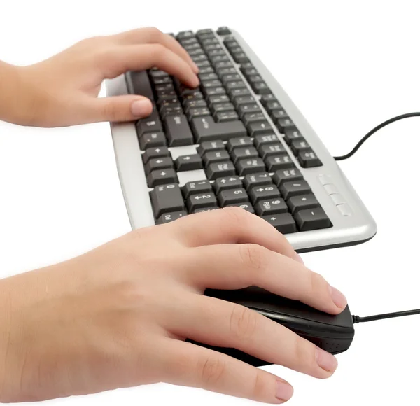 Female hand typing — Stock Photo, Image