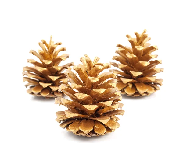 Gold pine cones Royalty Free Stock Images