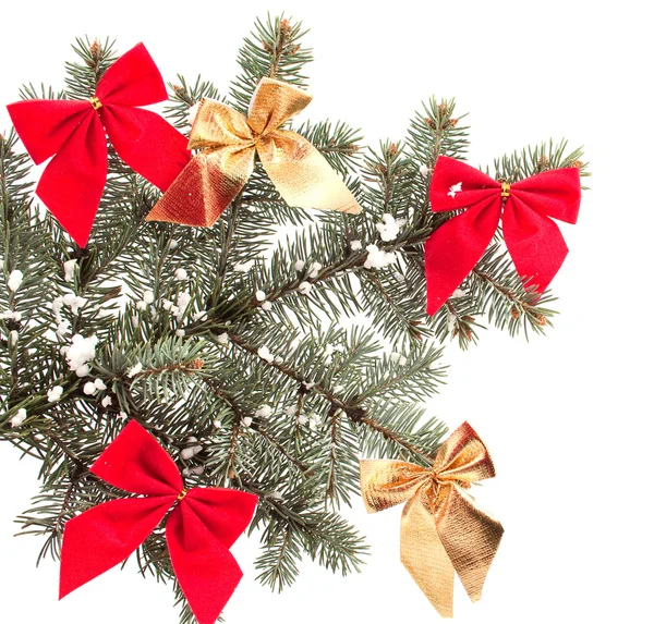 クリスマスの飾り 白い背景の上のリボンでクリスマス木の枝 — ストック写真
