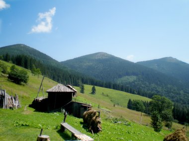 Karpat Dağlarının Doğası