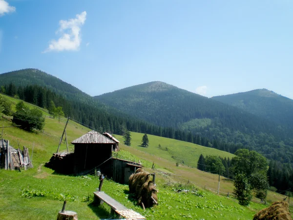 Natura Karpat — Zdjęcie stockowe