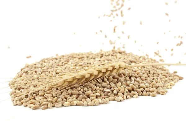 小麦在白色背景上的耳朵 — 图库照片