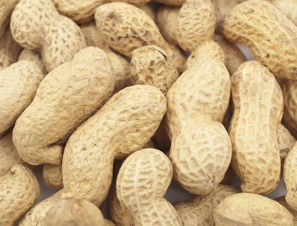 Macro Roasted Peanuts Shell — Stock Photo, Image
