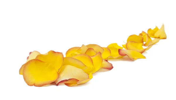 stock image Yellow rose petals