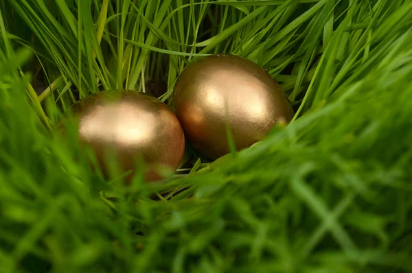 stock image Easter eggs