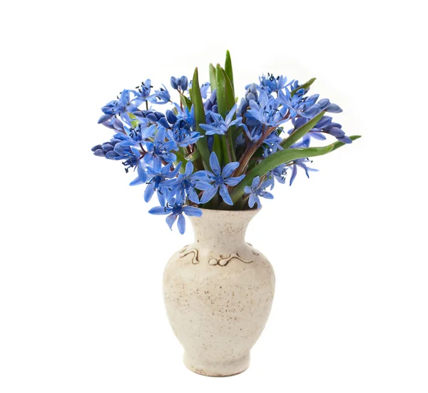 Vázu s květinami — Stock fotografie