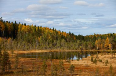 Wood lake. autumn landscape. nature. Karelia. Russia clipart