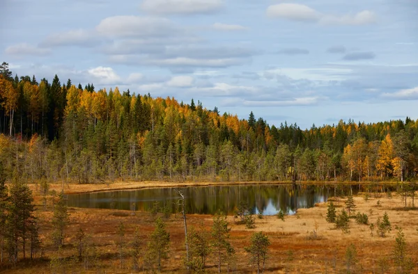 Ξύλο λίμνη. Φθινοπωρινό τοπίο. φύση. Καρελία. Ρωσία — Φωτογραφία Αρχείου