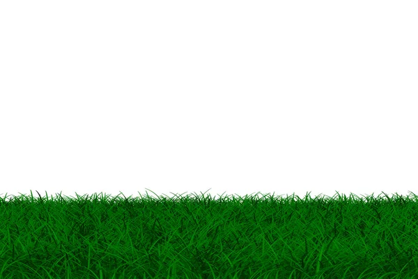 草在白色背景上。孤立的 3d 图像 — 图库照片