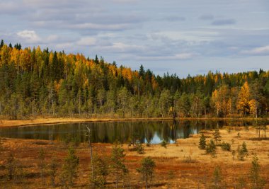 Wood lake. autumn landscape. nature. Karelia. Russia clipart