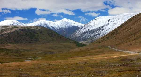 Altaibergen. vackra höglandet landskap. Ryssland. Sibirien — Stockfoto